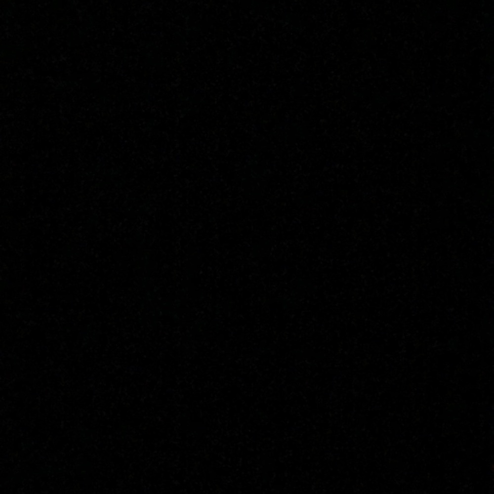 Meet your Posher, Bella